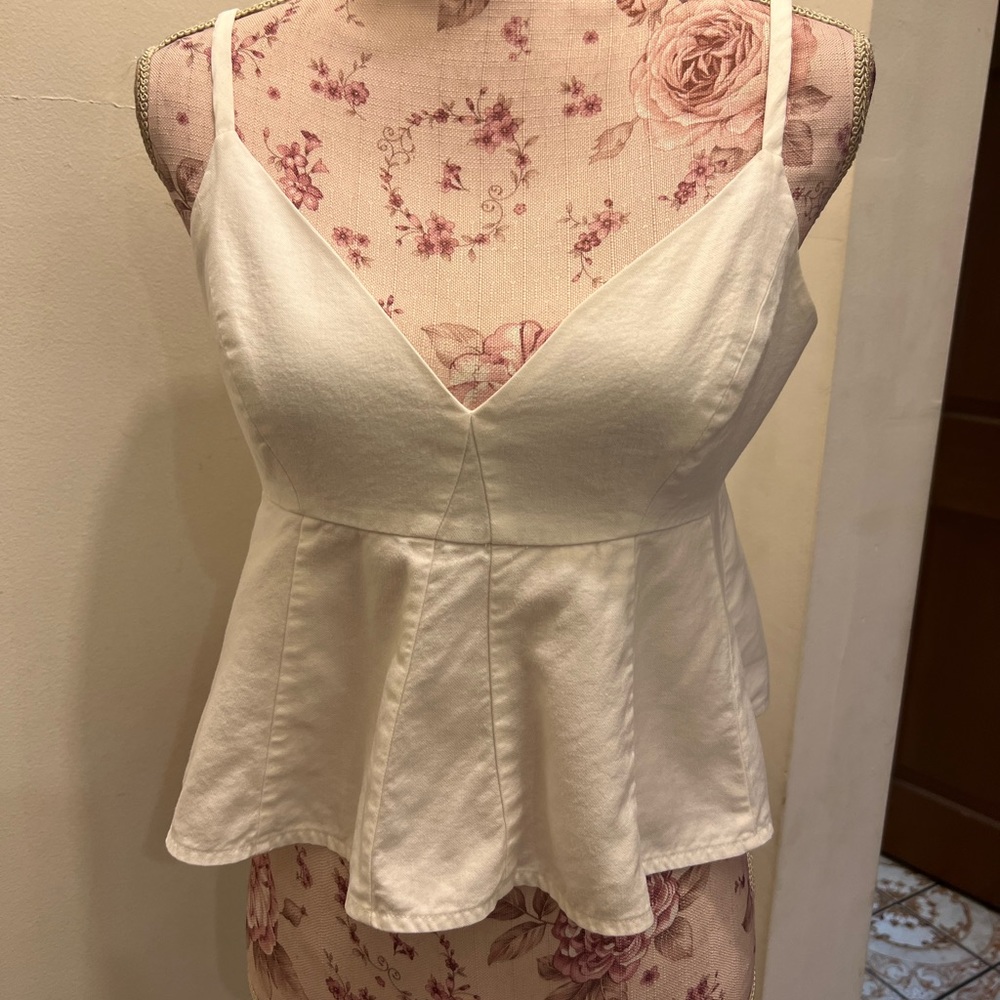 BCBG maxazria crop top